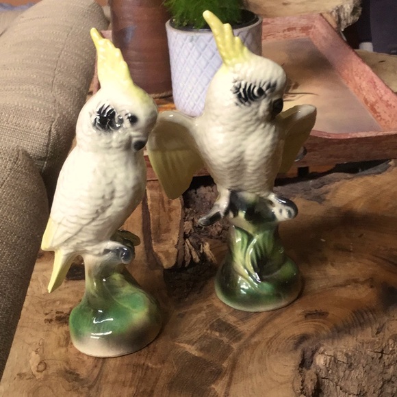 Other - Vintage decor birds farmer’s market garden sunroom spa botanical shabby chic